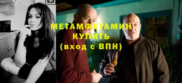 шишки Белокуриха
