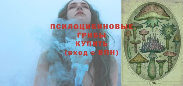 шишки Белокуриха