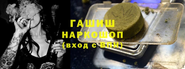 шишки Белокуриха