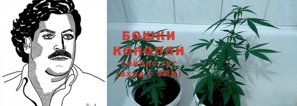 шишки Белокуриха
