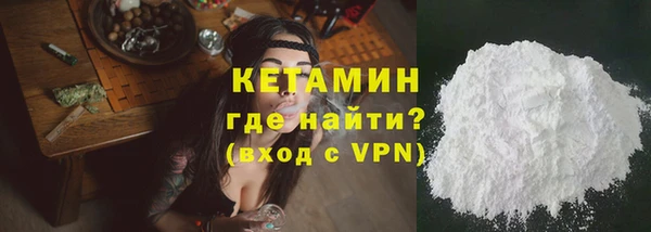 шишки Белокуриха