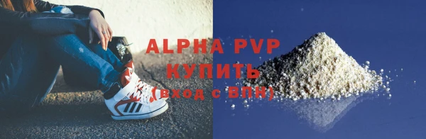 шишки Белокуриха