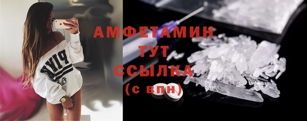шишки Белокуриха
