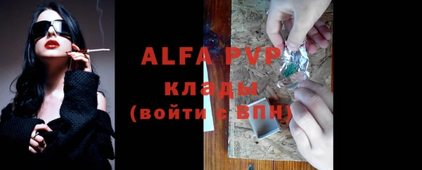 шишки Белокуриха