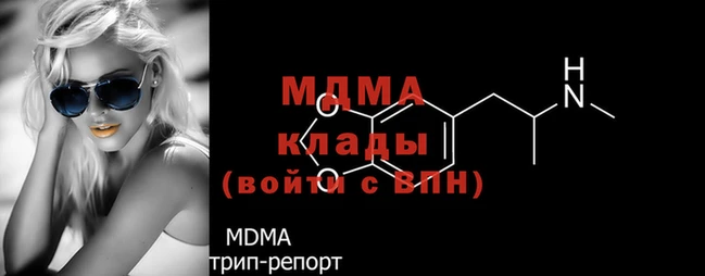 шишки Белокуриха