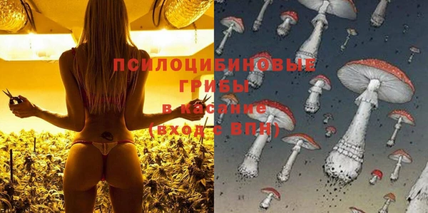 шишки Белокуриха