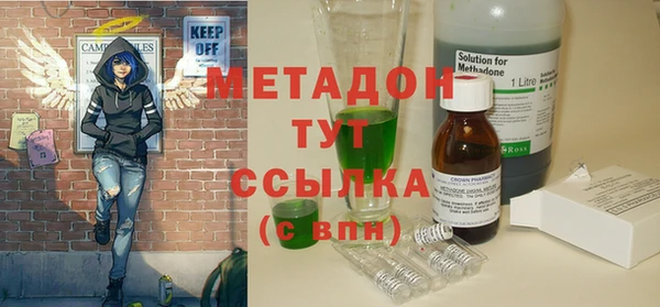 шишки Белокуриха