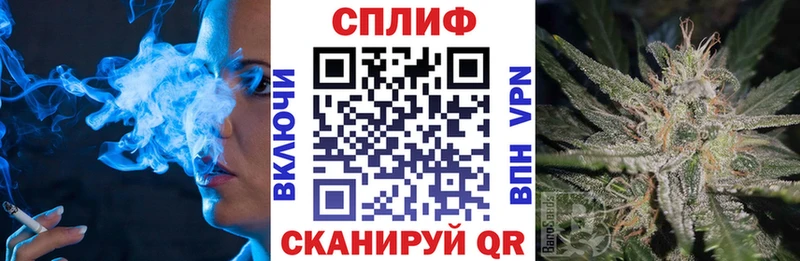 Канабис White Widow  закладка  Большой Камень 
